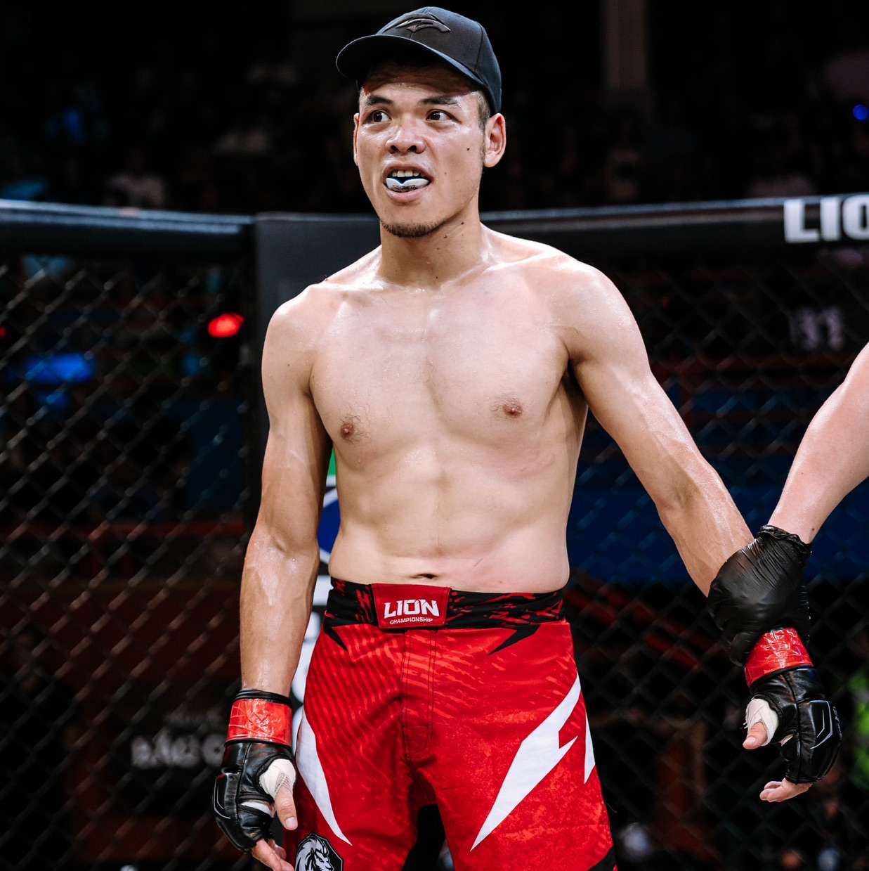 DUC PHAM