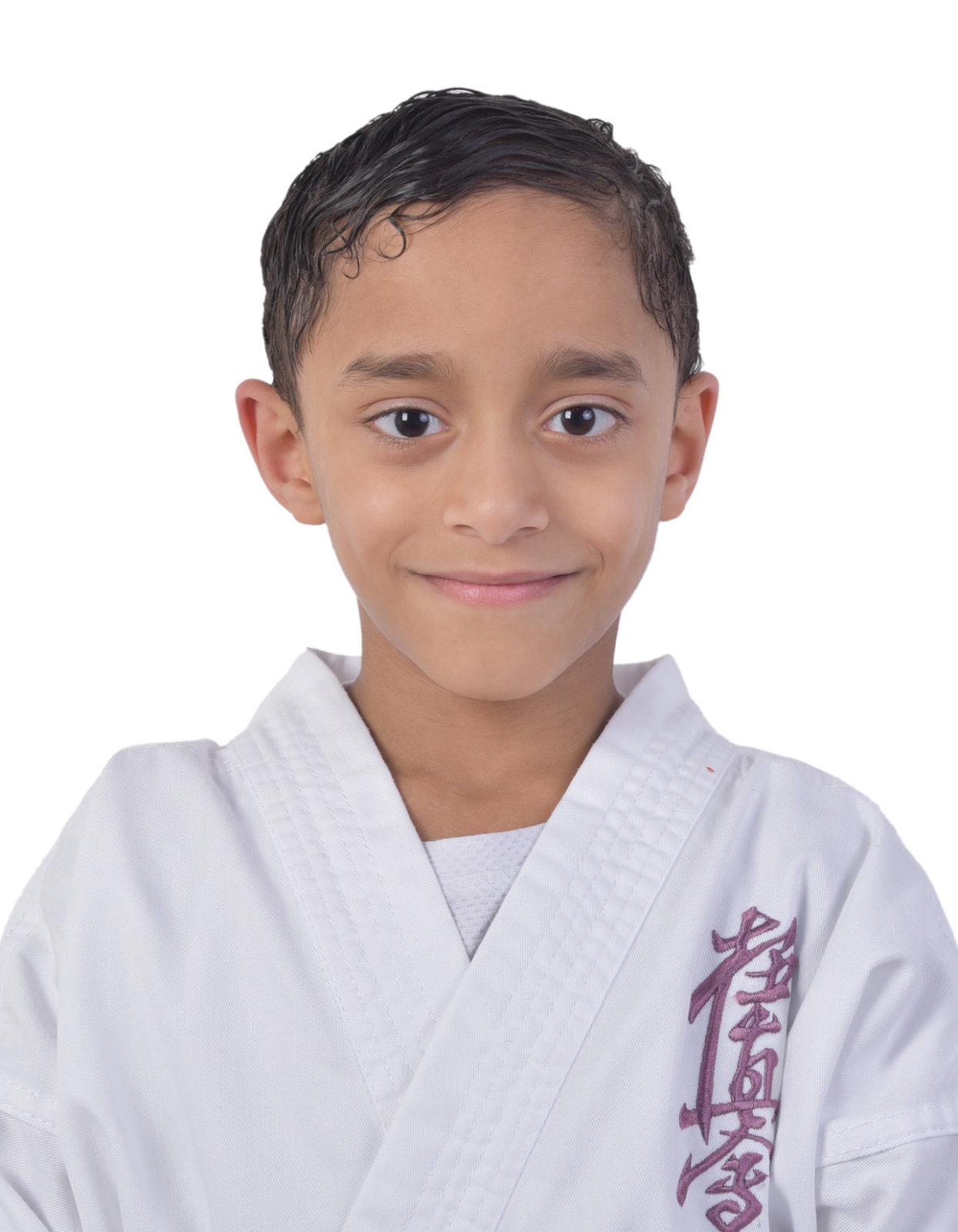 Sayed Mohamed A. Salman