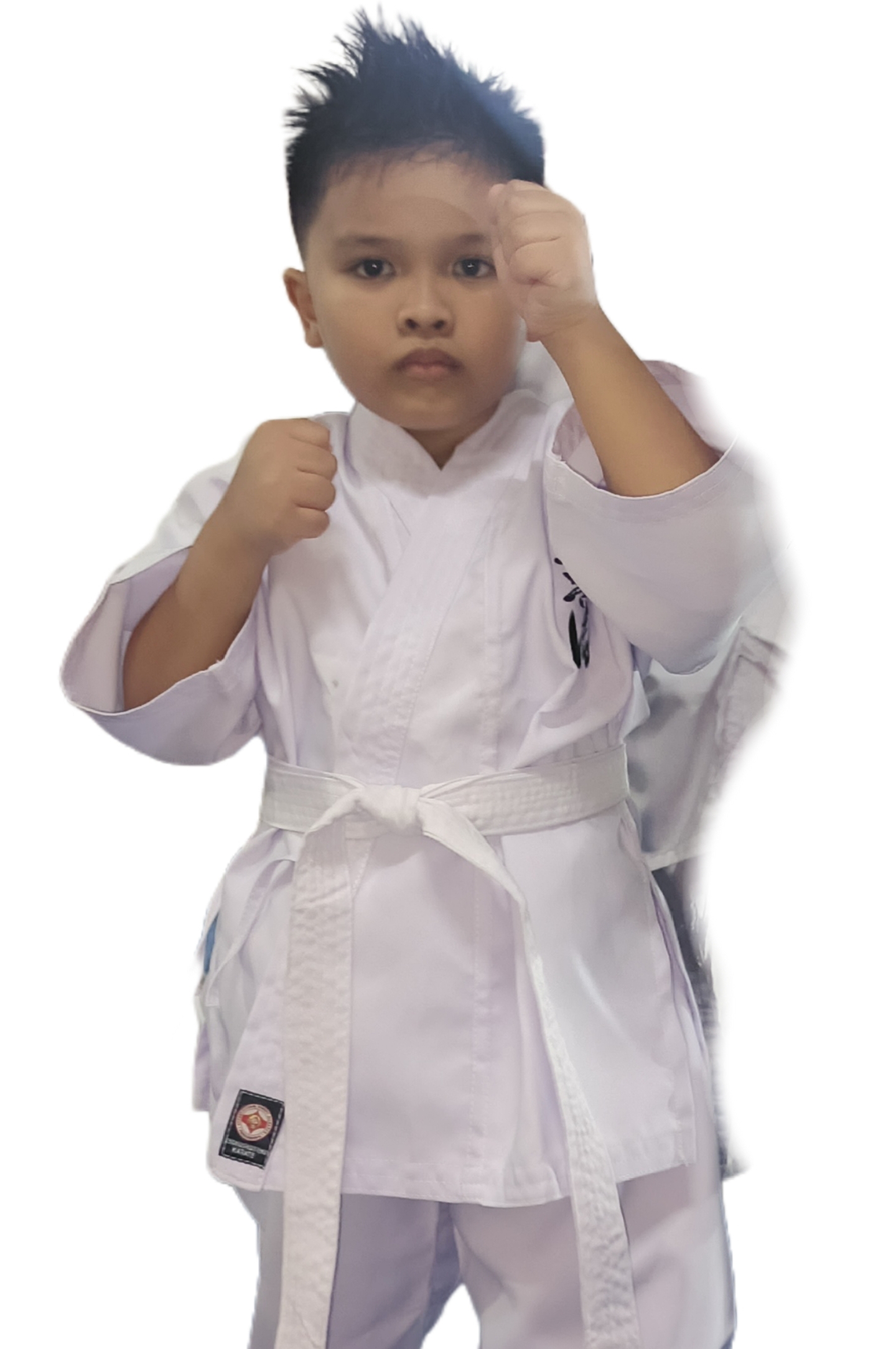 Renzo Liam Solis