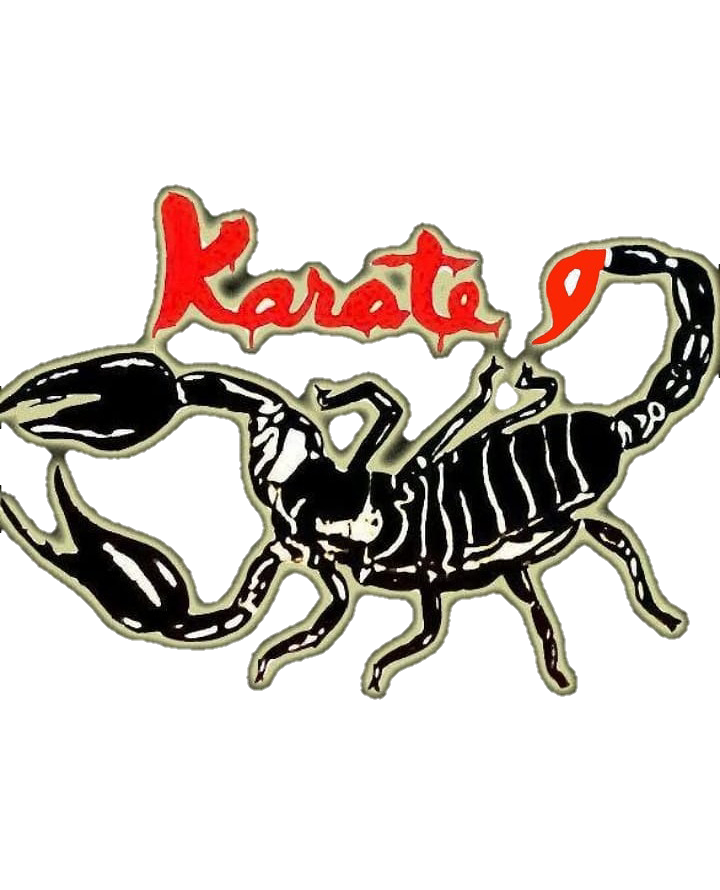 Exclusive training with all Dojo Operator Kala Hitam Indonesia (North Sumatra Province) 