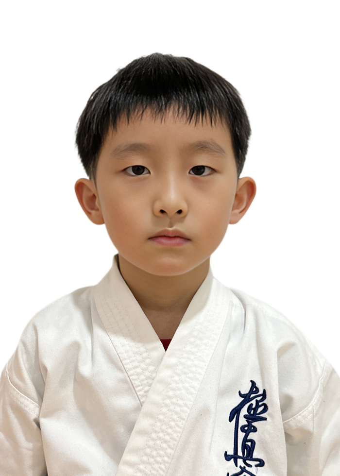 Jingjia  Shen
