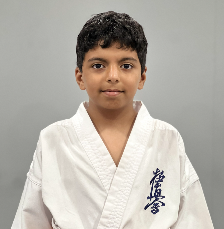 ali al banay