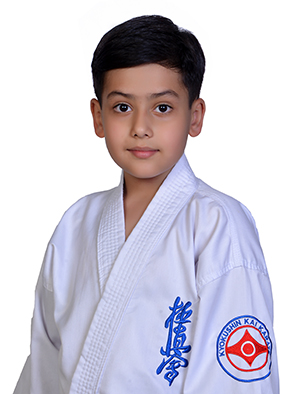 Raman Saffarian Delkhosh