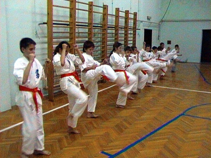 grld Dojo