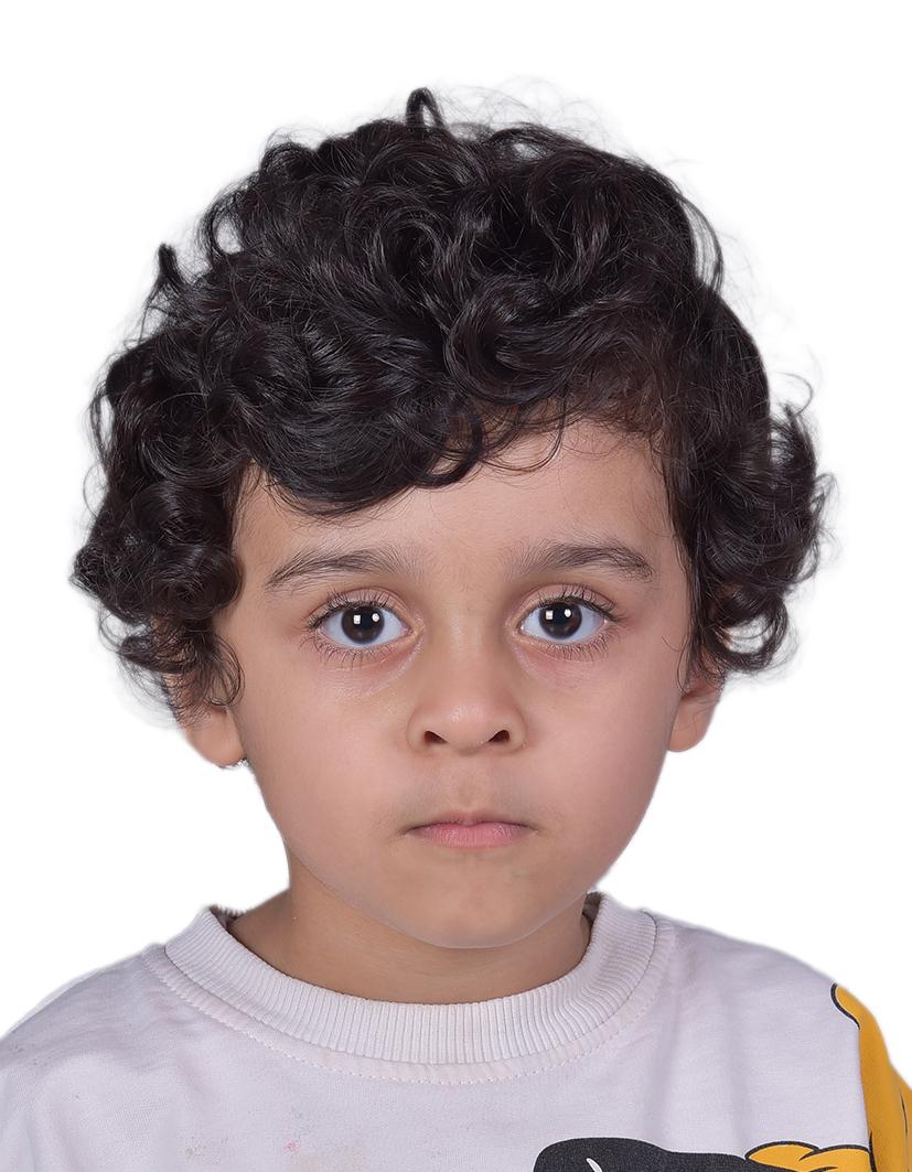 Abdulaziz A. Moamed