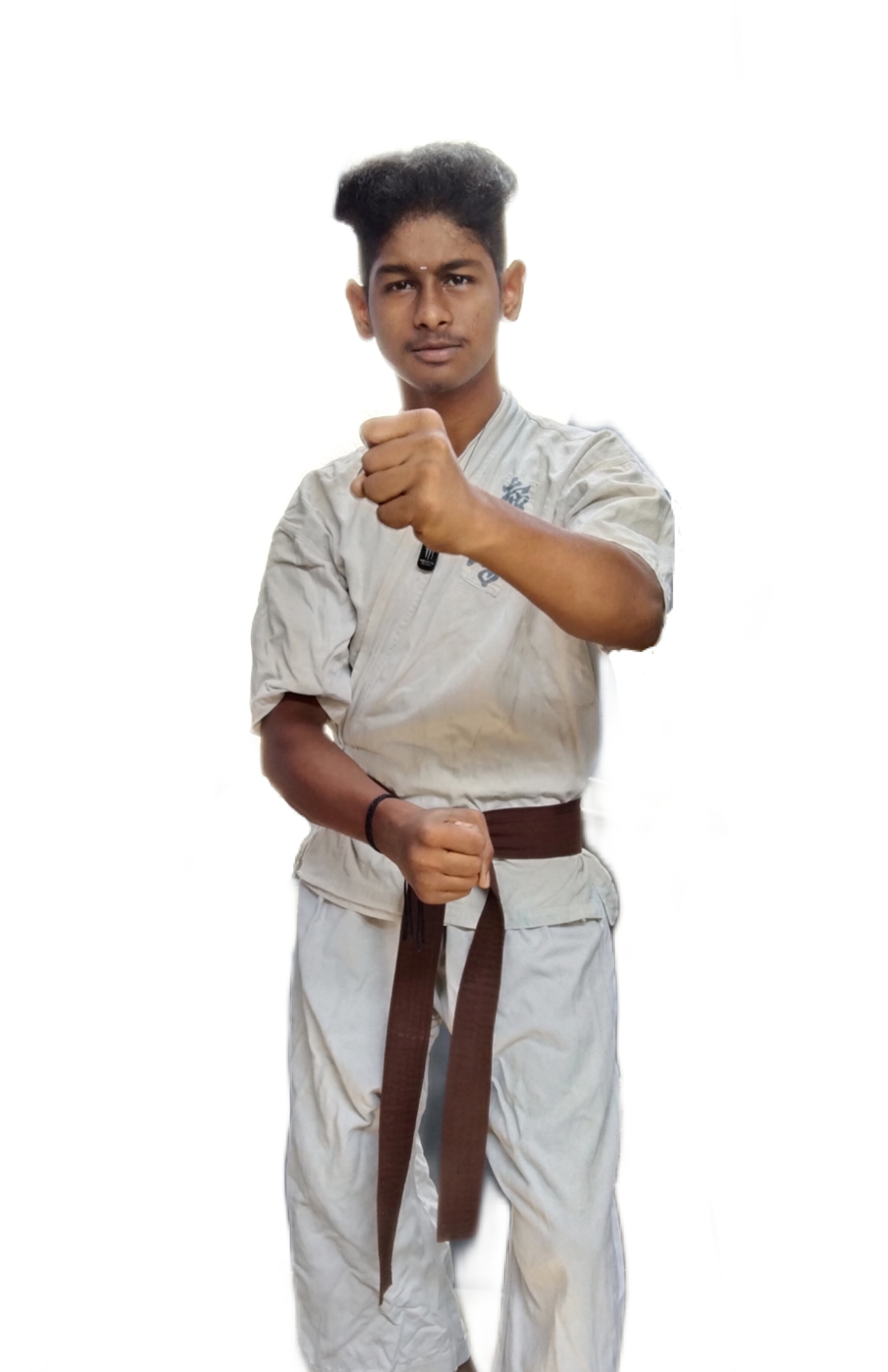 V. Elango Vadivel