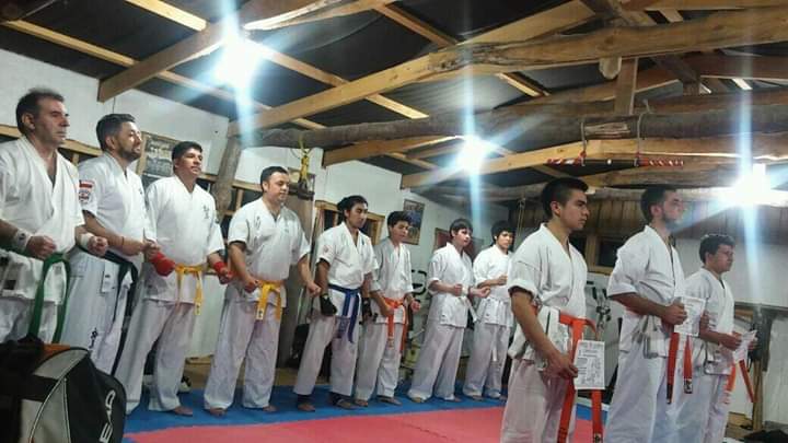 Dojo Llifen