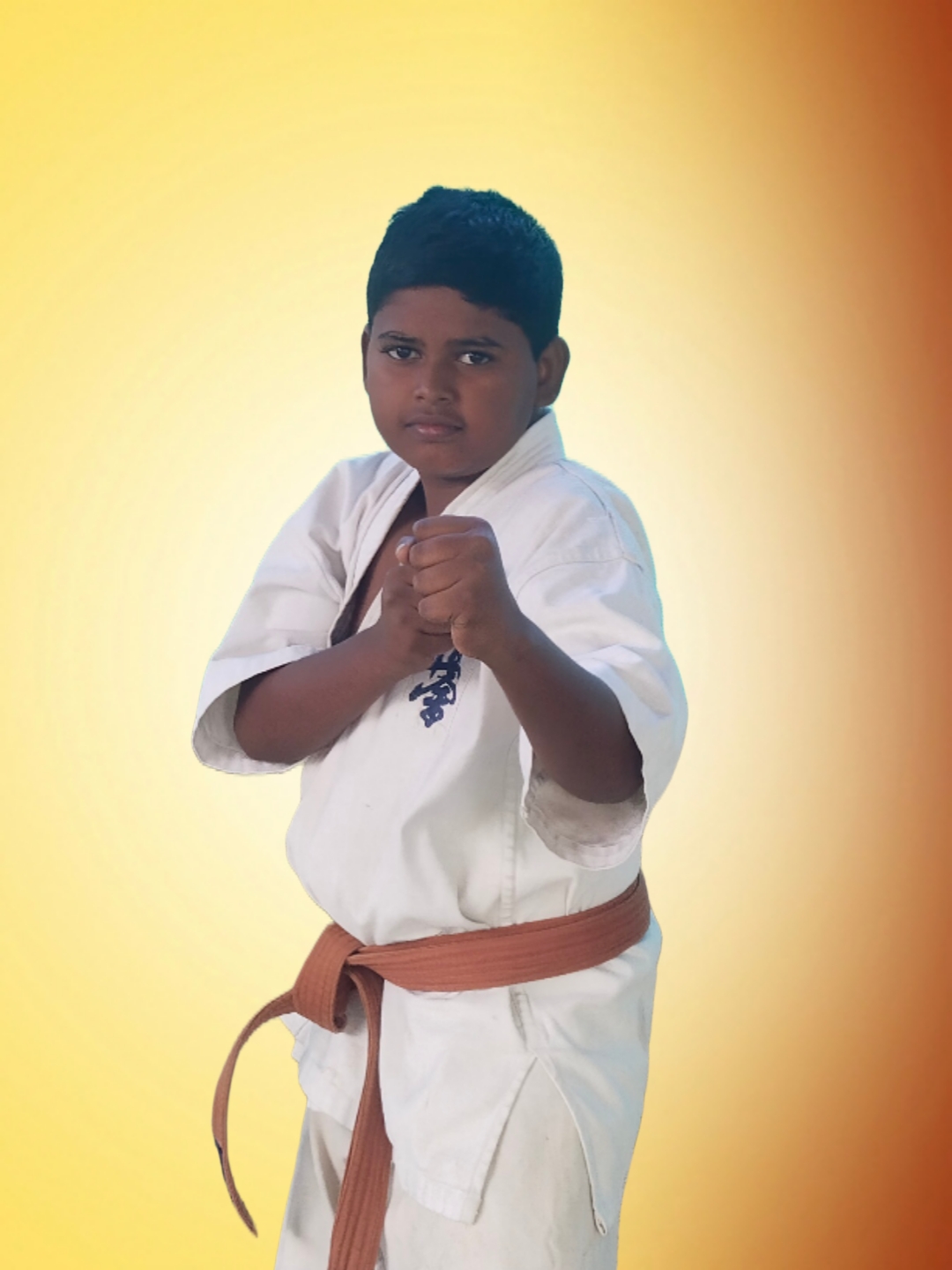 vikneshwaran.v 