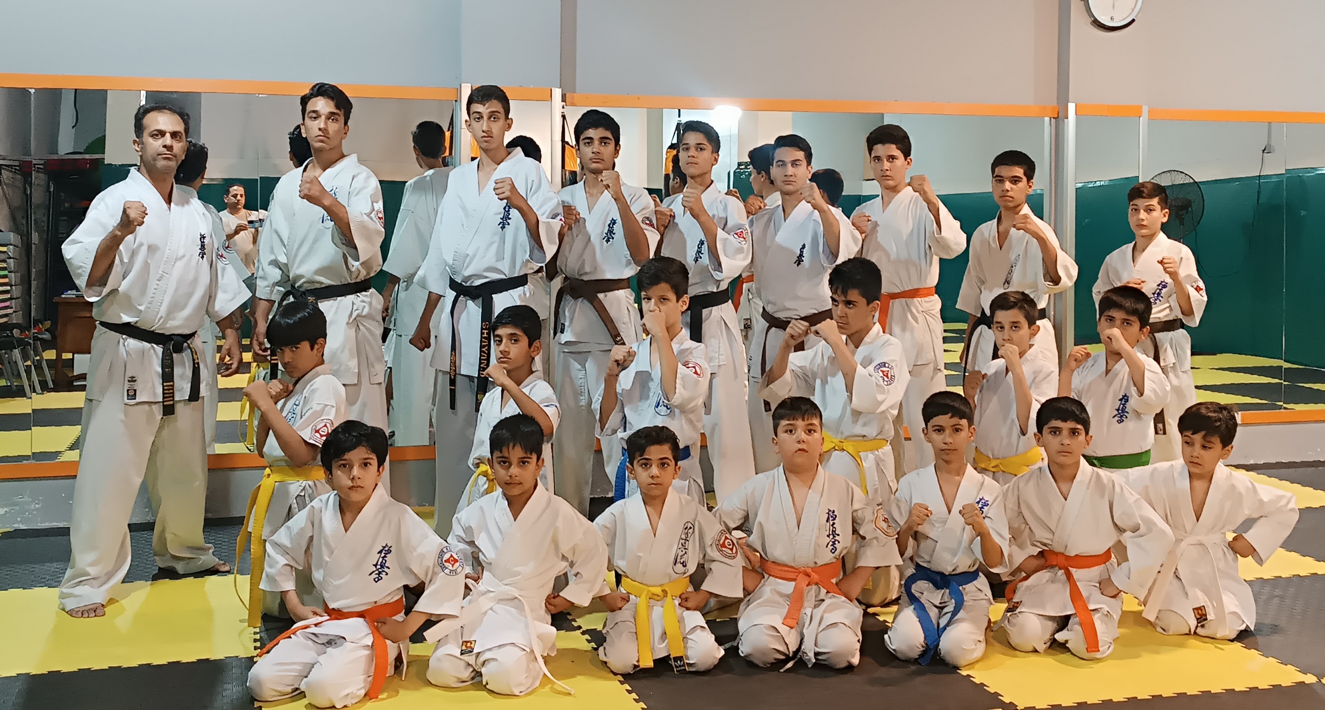Pouya Kyokushin Academy