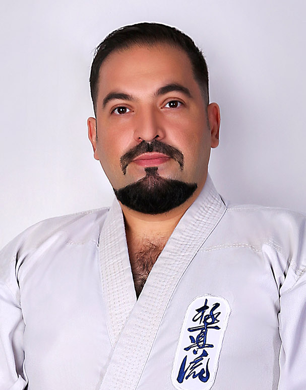 Hamed Ghobadylangaroudy