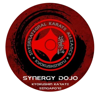 Synergy Dojo