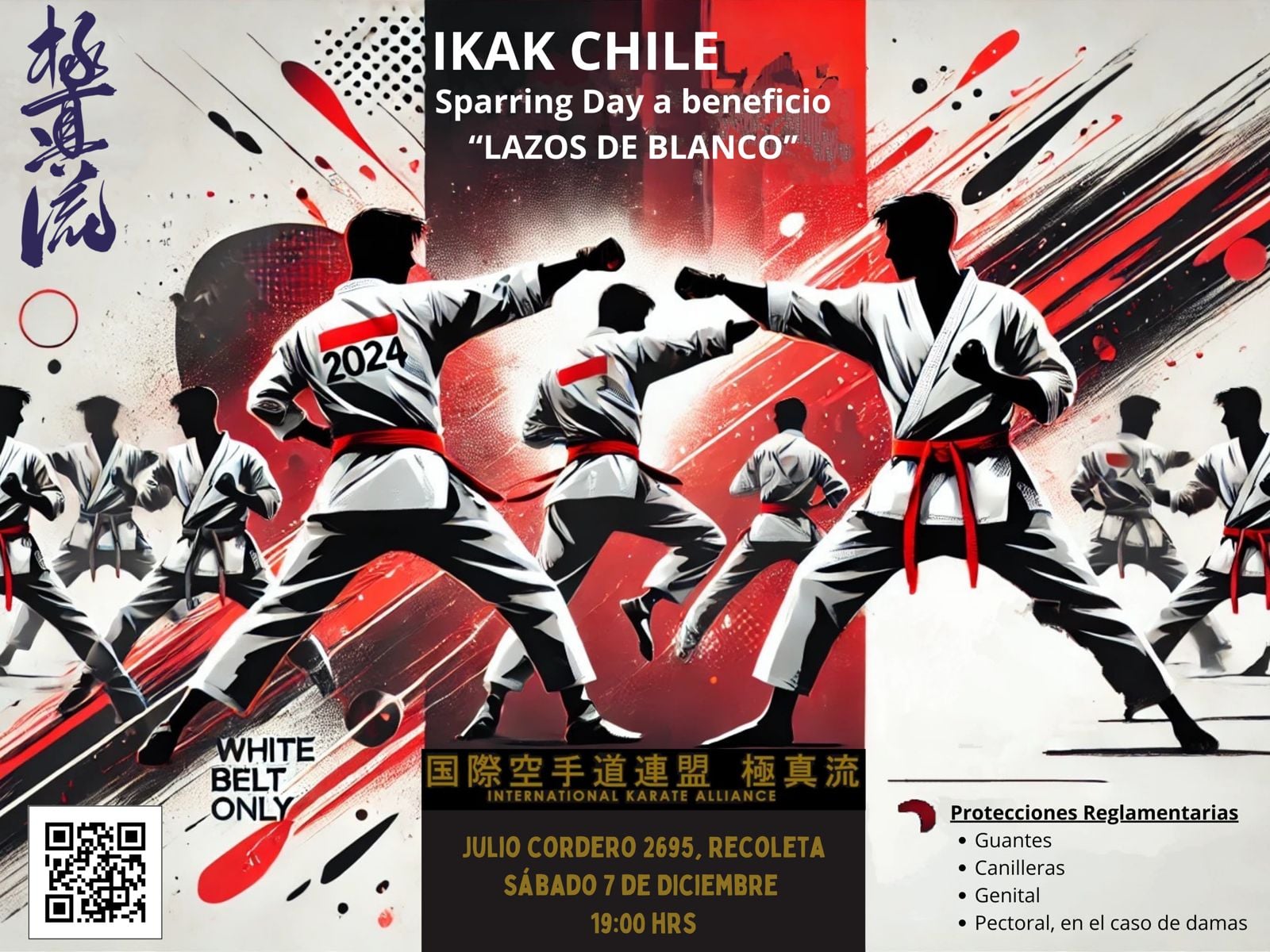 LAZOS DE BLANCO (Sparring for a Cause)