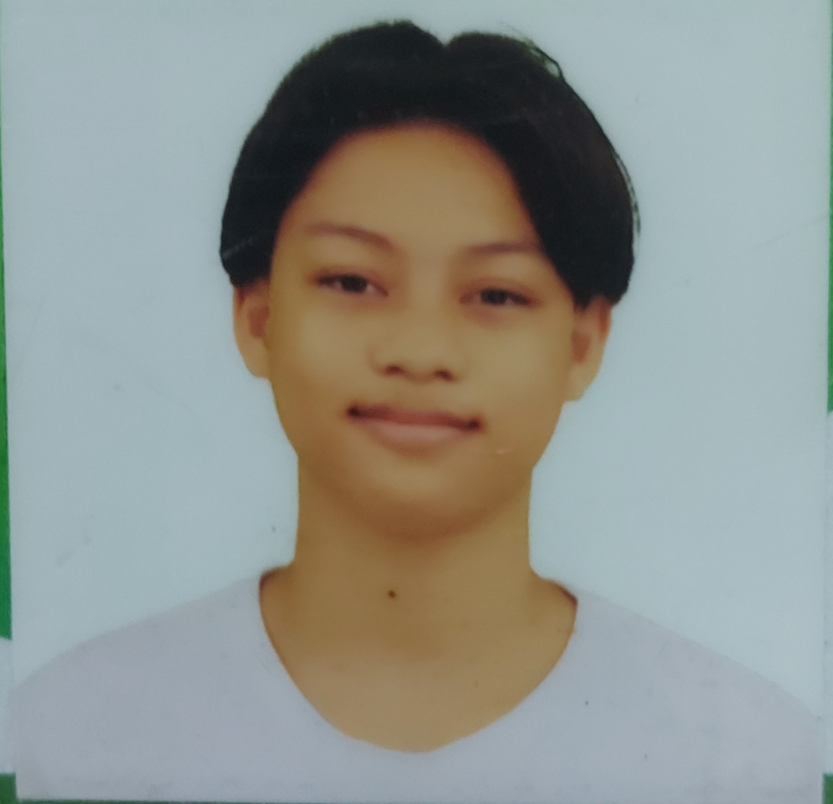 John Victor  Laput