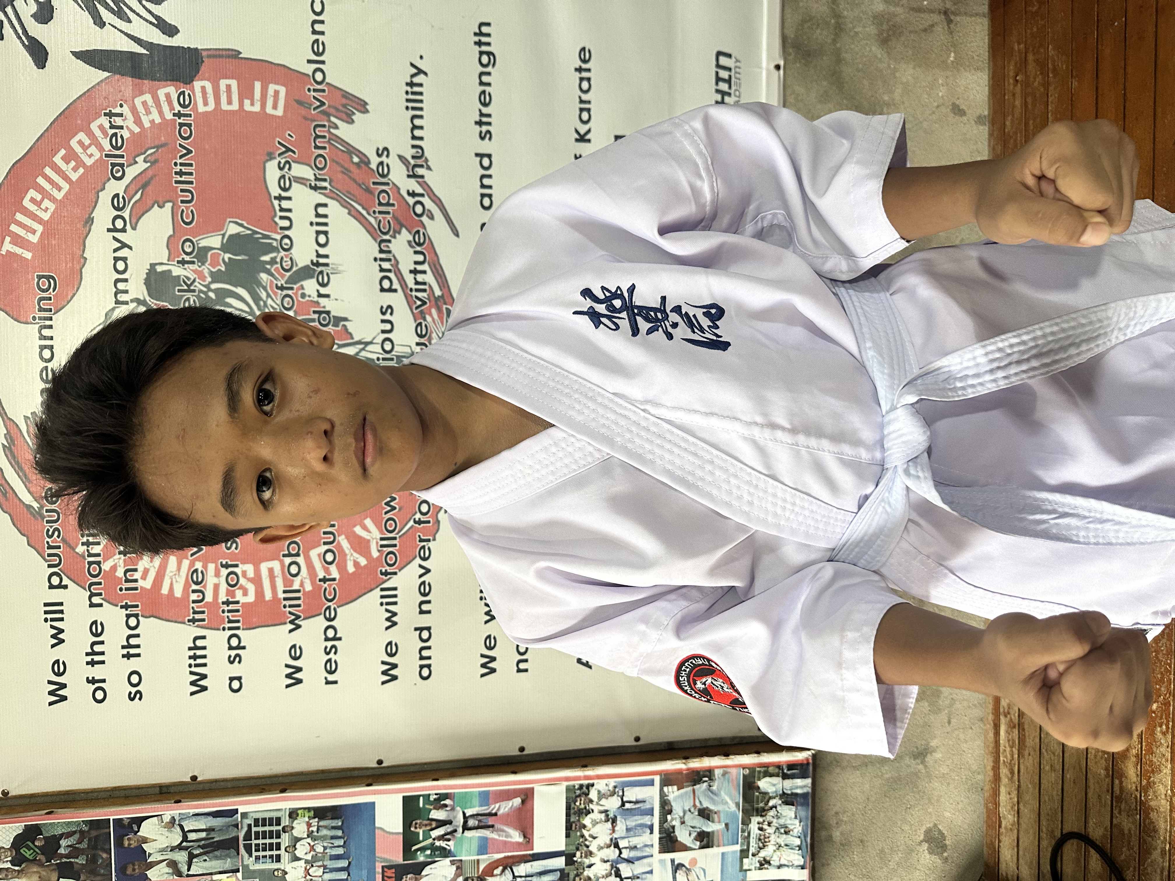 Dan Fritz Gerald Tumanguil
