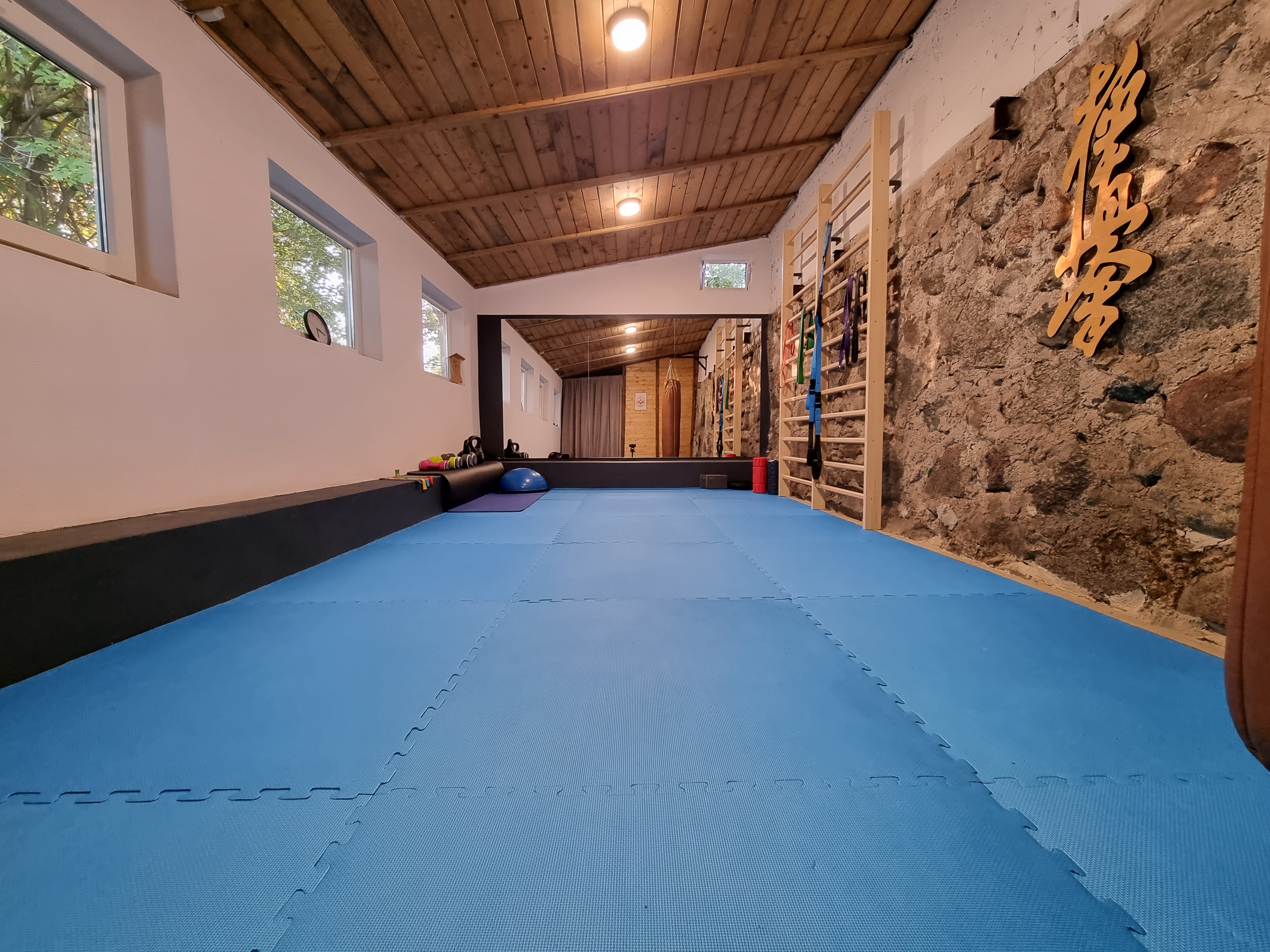 GAJA Dojo Jelonek