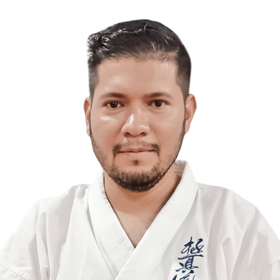 Luis Gerardo Guerrero Araya