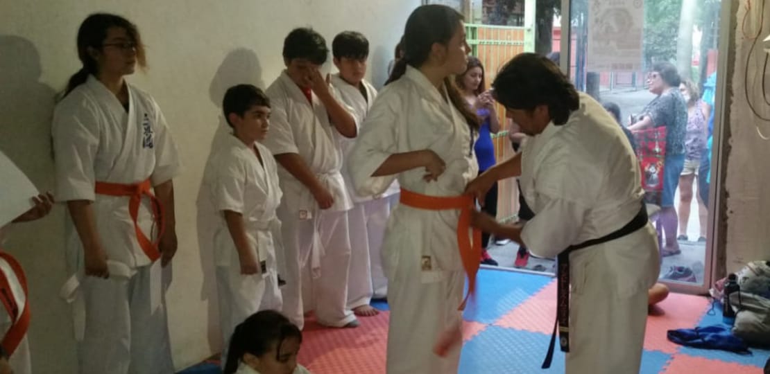 Dojo Fenix